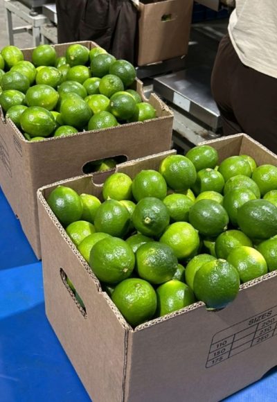 caja – limones- wordpresss caja - limones- wordpresss